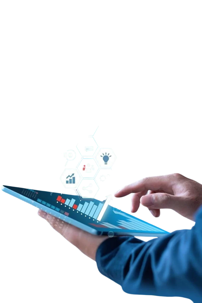 seo consultant